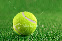 wpc8f751be_0f.jpg